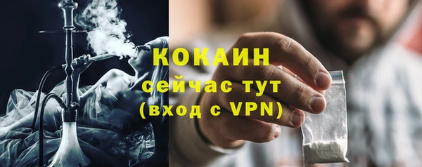 крисы Магадан